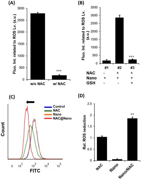 Effects Of Nano NAC On ROS Levels In Vitro A B Detecting