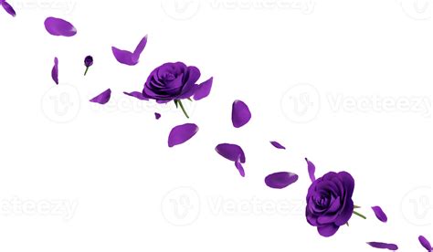 Purple Rose Petals 46646903 Png