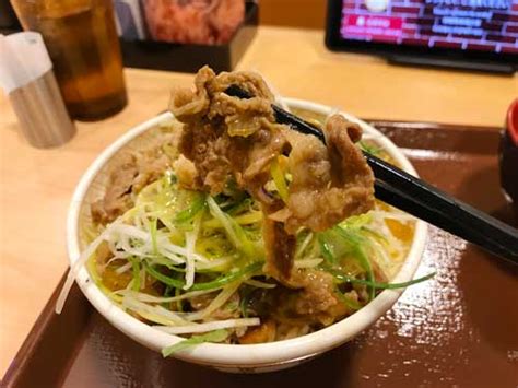 すき家 にんにく白髪ねぎ牛丼 【食レポブログ たべたおし】