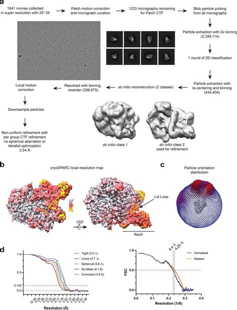 Cryo Em Data Processing For Cas In The Binary State A Cryo Em Data