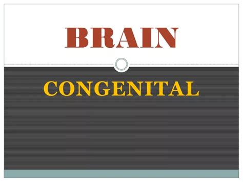 Ppt Brain Powerpoint Presentation Free Download Id 9618240