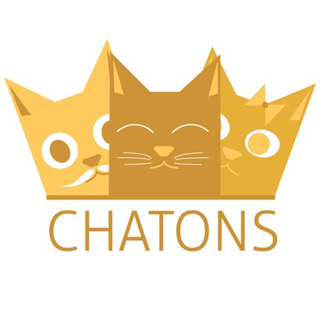 Les CHATONS expliqués à ma grand mère CoLibre Licence Pro Métiers