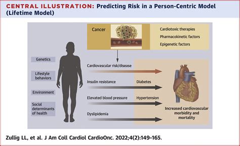 Cardiometabolic Comorbidities In Cancer Survivors JACC CardioOncology