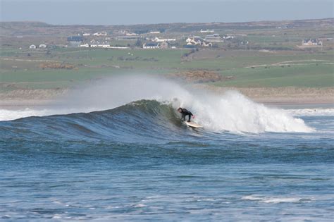 S Jour Linguistique Surf You Re Welcome