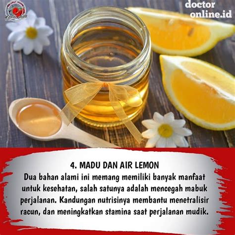 Inilah Makanan Yang Bisa Cegah Mabuk Perjalanan Saat Liburan