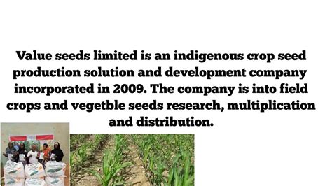 Value Seeds Limited Home Facebook
