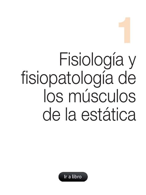 PDF Fisiología y fisiopatología de los músculos de la estática