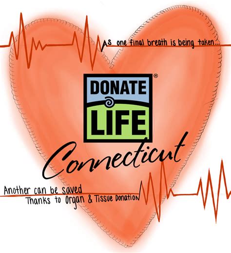 Dmca Students Create Organ Donation Posters Nhs Bears Den