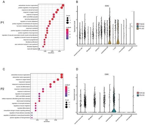 Integrating Spatial Transcriptomics And Single Nucleus Rna Sequencing