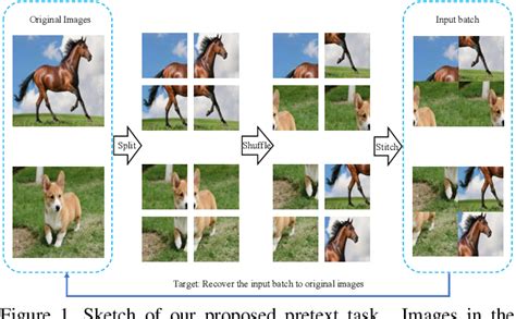 Figure From Jigsaw Clustering For Unsupervised Visual Representation