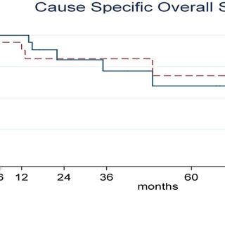 Kaplanmeier Curves Of Cancerspecific Survival Css Stratified