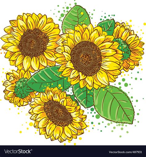 Sunflowers Royalty Free Vector Image Vectorstock