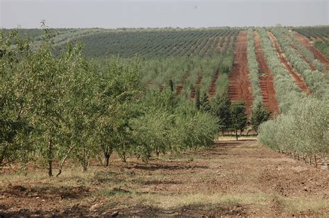 Le tourisme agricole un levier de croissance pour l Algérie