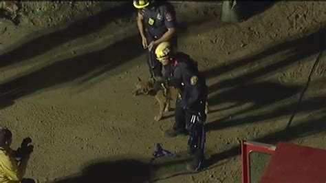 Pasadena Firefighters Rescue Blind Dog That Fell Down 15 Foot Hole At