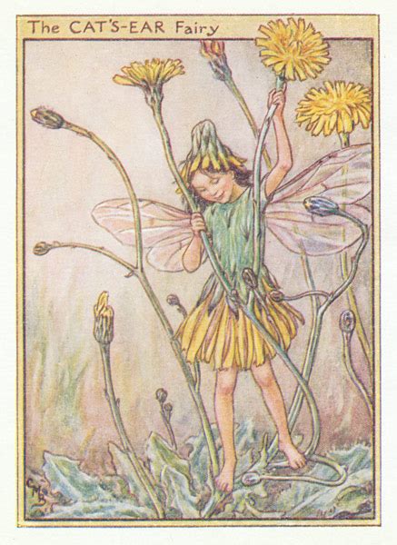 Flower Fairy Art Yellow Fairies Antique Fairy Prints