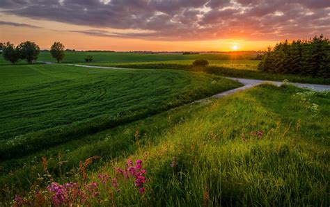 K K Scenery Sunrises And Sunsets Fields Grass Hd Wallpaper