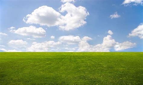 Green Grass and Blue Sky with Clouds and Tree Stock Photo - Image of ...