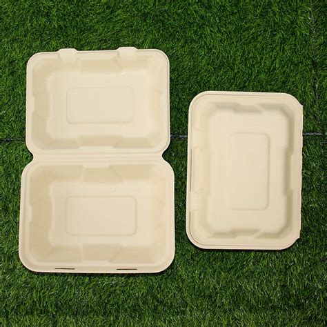 Watsonpak Pulp Paper Packaging 100 Compostable Sugarcane Bagasse