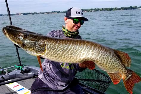 Muskie vs. Pike: All You Need to Know - FishingBooker Blog