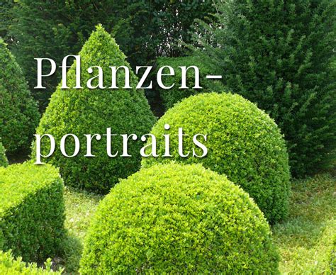 Galabau Liebner Gartenmagazin