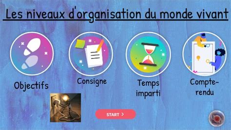 Niveaux D Organisation Du Monde Vivant