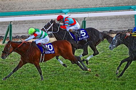 有馬記念 2021【回顧】エフフォーリア時代における「馬券の勝者」を目指して！そして全ての出走馬へ「心からのありがとう」を！ 競馬予想の