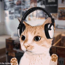 headphones gifs Page 5 | WiffleGif