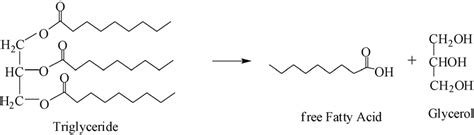 Scheme 1 Reaction Scheme Of Olive Oil Hydrolysis Download