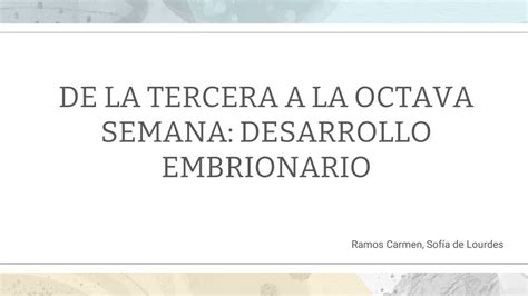 De La Tercera A La Octava Semana El Desarrollo Embrionario Ramos