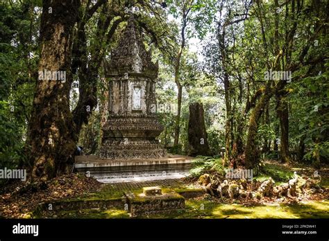 Chiang Mai highest mountain hiking Stock Photo - Alamy