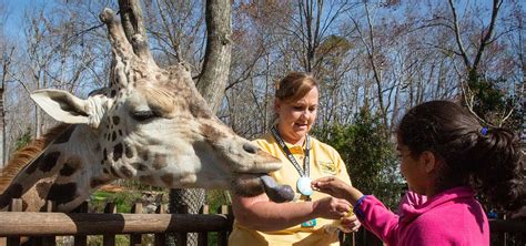 Volunteer North Carolina Zoo