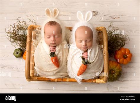 Tiny Newborn Twins Boys In White Cocoons In A Wooden Basket Against A