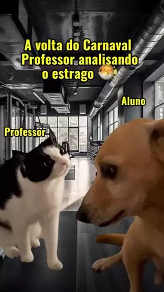 Quando O Estrago Grande Volta O C O Arrependido Suas Orelhas