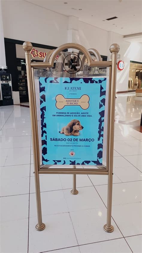 Shopping Iguatemi Realiza Feira De Ado O Pet