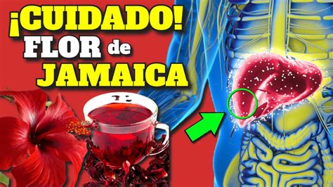 Descubre Los Incre Bles Beneficios Del Agua De Jamaica Con Betabel La