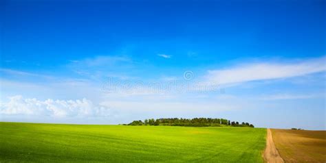 Art Blue Sky Over Farm Green Field Stock Photo Image Of Corn Field