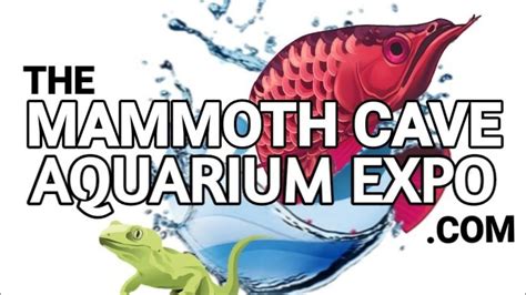 A Walk Through The Mammoth Cave Aquarium Expo YouTube