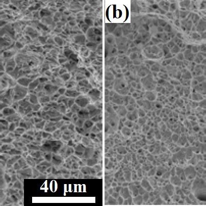 Sem Fractography Of The Tensile Specimen Welded Joints A