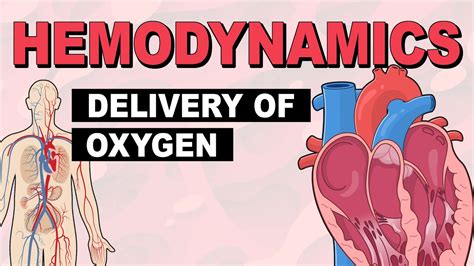 Delivery Of Oxygen Hemodynamics Part Youtube