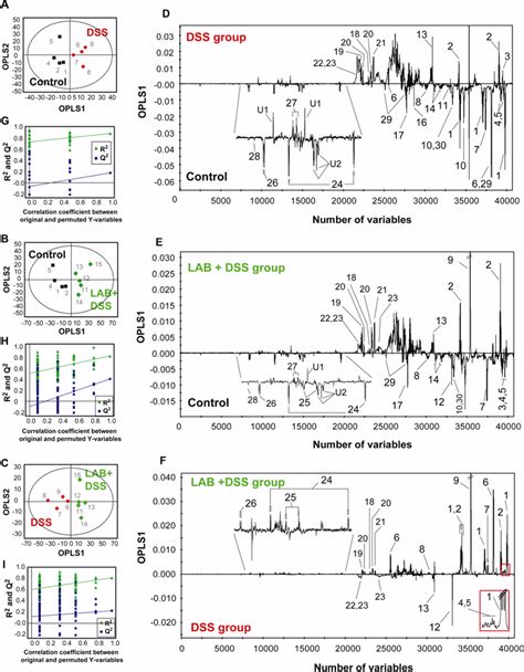 Opls Da Scores A C And Loading D F Plots Derived From The H Nmr