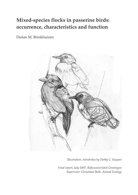 Pdf Mixed Species Flocks In Passerine Birds Occurrence