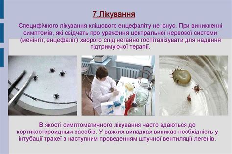 Кліщовий енцефаліт - презентация онлайн