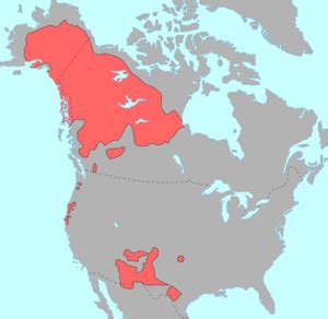 Athabaskan languages - Wikipedia