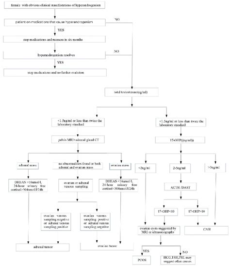 Diagnostic process of hyperandrogenism. | Download Scientific Diagram