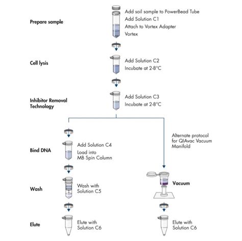 QIAGEN DNeasy PowerSoil Kit