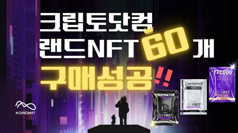 크립토닷컴 랜드 Nft 60개 구매성공 세일 후기 Land Sale Success Youtube