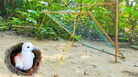 How To Make A Bird Trap Using Plastic Net And Bottle Trap And Unique Net