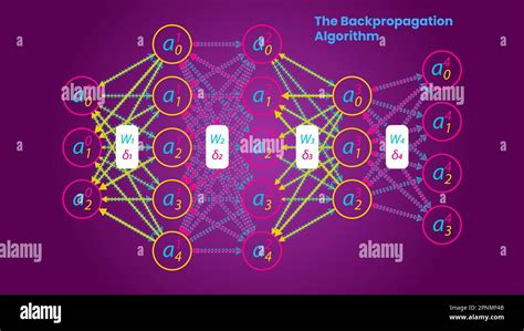 La Ilustraci N Del Algoritmo De Retropropagaci N Estilo De Infograf A