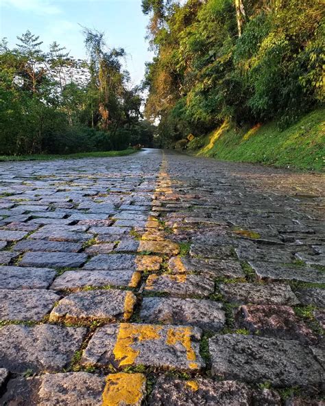 Estrada Da Graciosa Dicas Para Viajar Pela Rodovia Mais Bela Do Paran