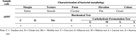 Morphological Observations And Biochemical Tests Of APD7 Isolate